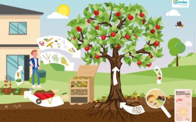 Réalisation d’illustrations dans le cadre d’un jeu pour sensibiliser à la cause écologique (Calvados- 14)